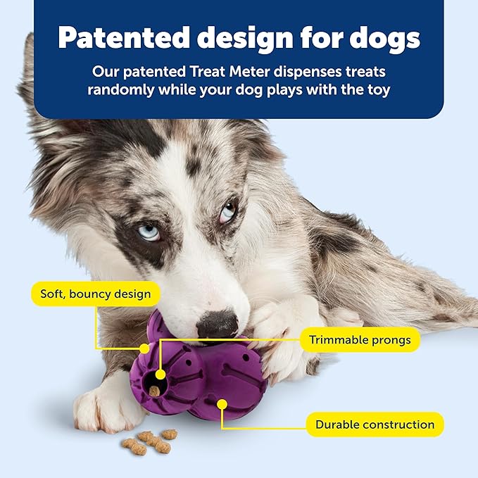 PetSafe Busy Buddy Barnacle, Medium