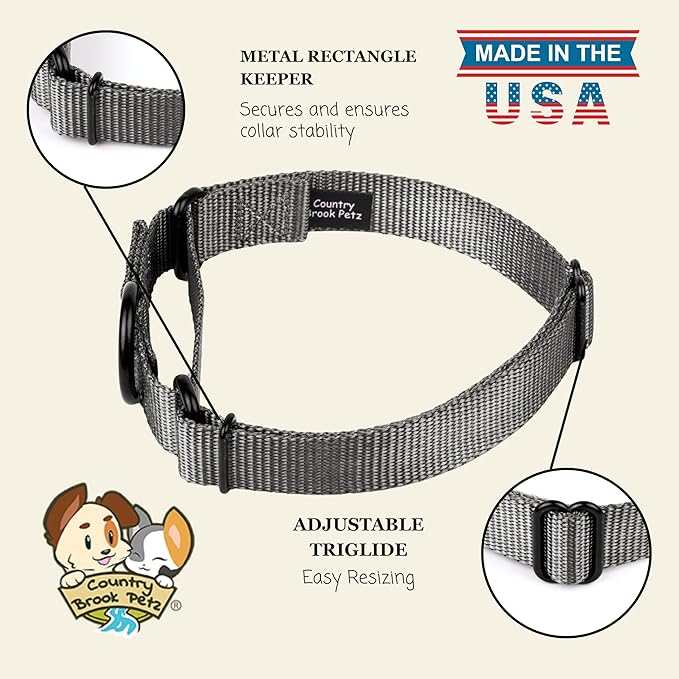 Country Brook Petz - Martingale Dog Collar - Heavy-Duty Training Collar with No Buckle - Service Dog Collar for All Pups - 20 Vibrant Colors (Charcoal, 3/4 Inch, Small)