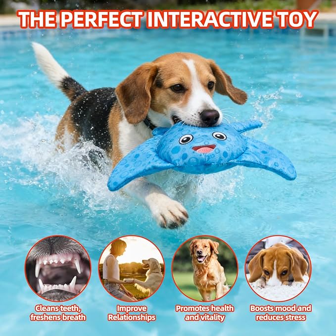 PUPTECK Floating Pool Toys for Dogs - 2 Pack Squeaky Pet Water Toys for Fetch & Training, Interactive Summer Outdoor for Large Small Medium Dogs, Starfish & Manta Ray