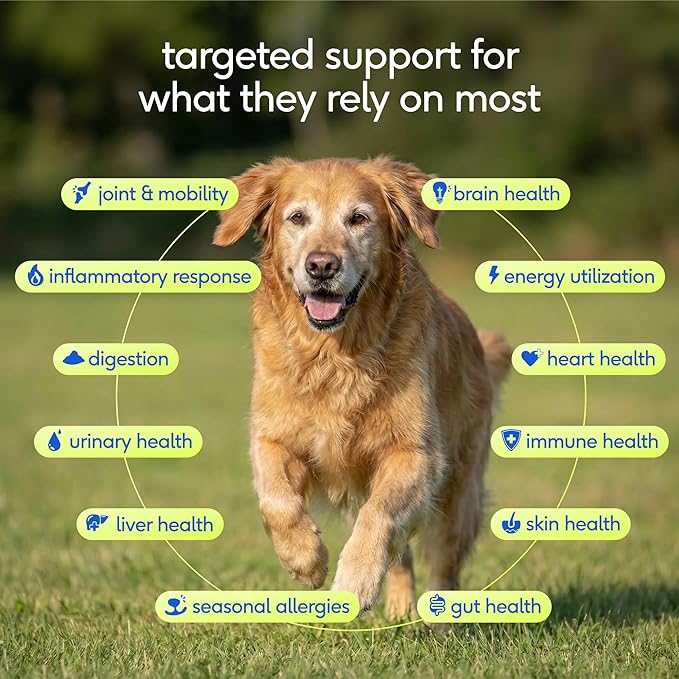 Native Pet Senior Daily Dog Vitamins & Supplements – 12-in-1 Dog Multivitamin Powder for Senior Dogs – Supports Mobility, Cognition, Digestion, Immune Health & More – 120 Scoops