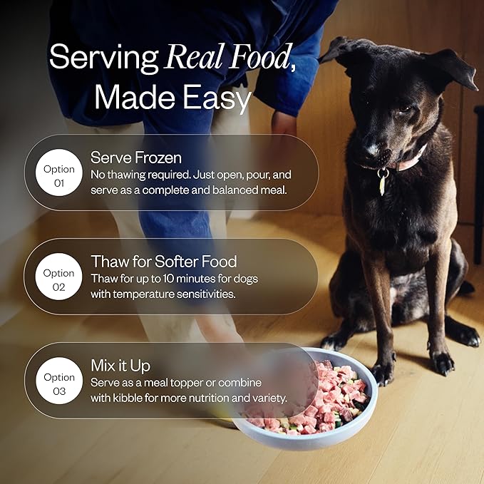 Maev Human-Grade Beef Dog Food, Weight & Digestion Formula, Whole Ingredient, Gluten-Free, High Protein Puppy & Dog Food, 10 lb