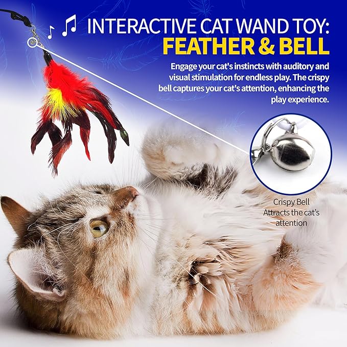 PET FIT for Life 2 Feather Wand CAT Toy, RED and Purple