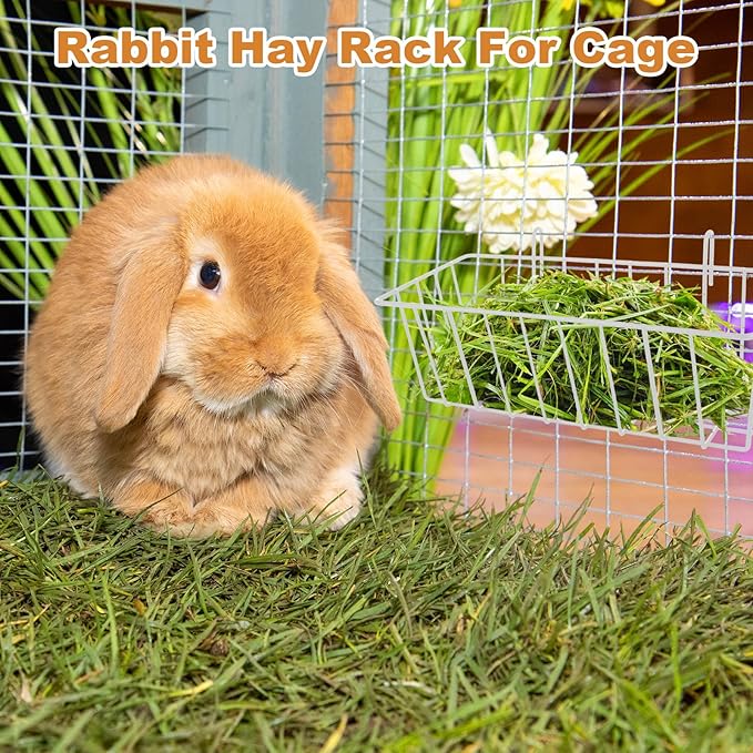 6PCS Heavy Duty Metal Rabbit Hay Feeder Rack with Hooks, 9x4x3 Inch Cage Hanging Holder for Bunnies and Guinea Pigs (White)