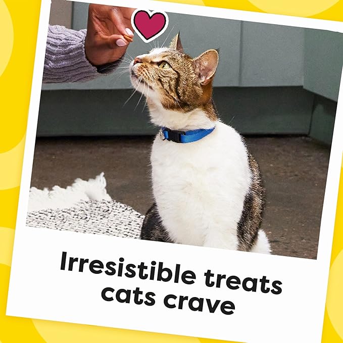Temptations Cat Treats, Classic Crunchy and Soft Cat Treats, Seafood Medley Flavor, 48 oz. Pouch