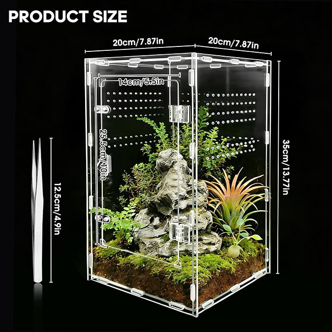 Jumping Spider Enclosure, Insect Terrarium, Bug Cage, Acrylic Terrarium for Tarantula, Snail, Praying Mantis, Frog, and Small Reptiles (7.8" x 7.8" x 13.7")