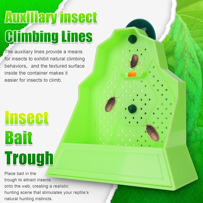 Reptile Anti-Escape Feeding Bowl, Wall-Mounted Feeder for Reptile, Stimulate Hunting Accessories for Terrarium, Vivarium and Paludarium, Suitable for Lizard, Gecko & Frog, Large