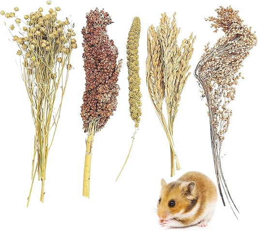 Fhiny Natural Hamster Sprays Edible Hamster Bedding Air-Dried Grain Set for Habitat Decor Mice Cage Accessories for Gerbils Lemmings Parrots Rats and Other Small Animals（0.2lb）