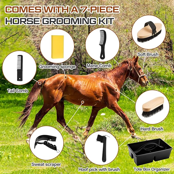 8 Pc Horse Grooming Kit - Includes Grooming Box, Face & Body Brush, Sweat Scraper, Hoof Pick, Mane & Tail Comb, Bathing Sponge - Gift for Horse Riders & Beginners