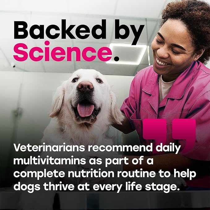 24-in-1 Dog Multivitamin Chews – Dog Vitamins and Supplements with Glucosamine, Chondroitin, Probiotics, Salmon Oil, Biotin – Daily Mobility, Digestion, Skin and Coat Support, Beef Flavor