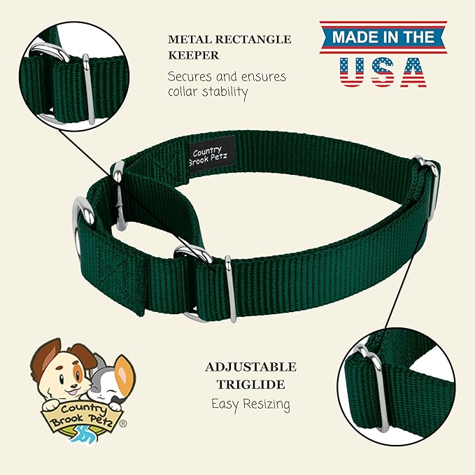 Country Brook Petz - Martingale Dog Collar - Heavy-Duty Training Collar with No Buckle - Service Dog Collar for All Pups - 20 Vibrant Colors (Green, 1 Inch, Extra Large)