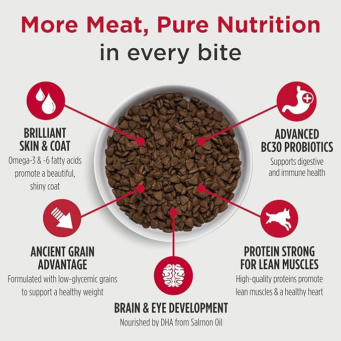 Nulo Frontrunner Puppy Food - High-Protein Chicken, Oats & Turkey Recipe Kibble, Natural Dry Dog Food with DHA, Ancient Grains, Probiotics, Taurine, Omega 3 for Small, Medium & Large Breeds, 5lb Bag