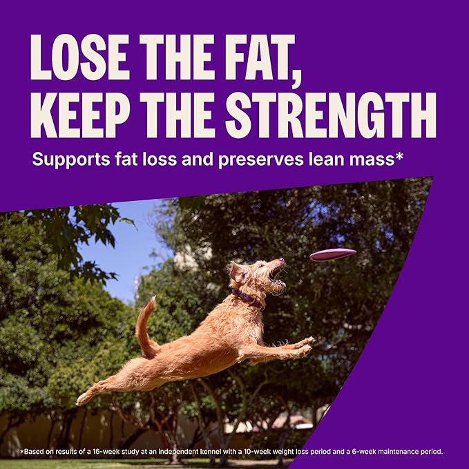 Wellness CORE Healthy Weight Small Breed Adult Dry Dog Food, Grain Free Kibble, Natural, High Protein, Turkey and Chicken Recipe, 4 lb Bag
