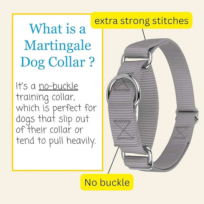 Country Brook Petz - Martingale Dog Collar - Heavy-Duty Training Collar with No Buckle - Service Dog Collar for All Pups - 20 Vibrant Colors (Silver, 3/8 Inch, 2XS)