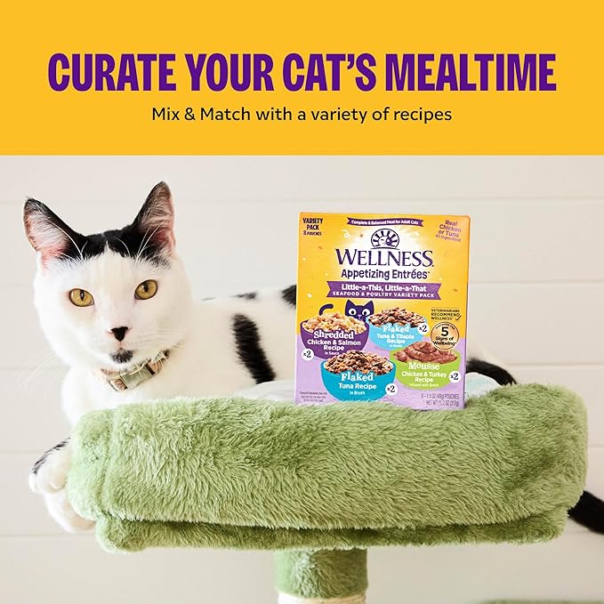 Wellness Appetizing Shredded Flaked Adult Wet Cat Food, Natural, Protein Rich, Grain Free, Chicken and Egg Recipe, 2.8 oz, Pack of 8 Pouches