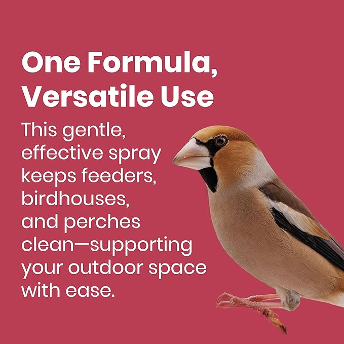 Good Salt Pet Bird Feeder & Bird House Protectant Spray, Natural Bird-Friendly Formula to Reduce Buildup & Extend Time Between Cleanings, 32 Ounce Bottle