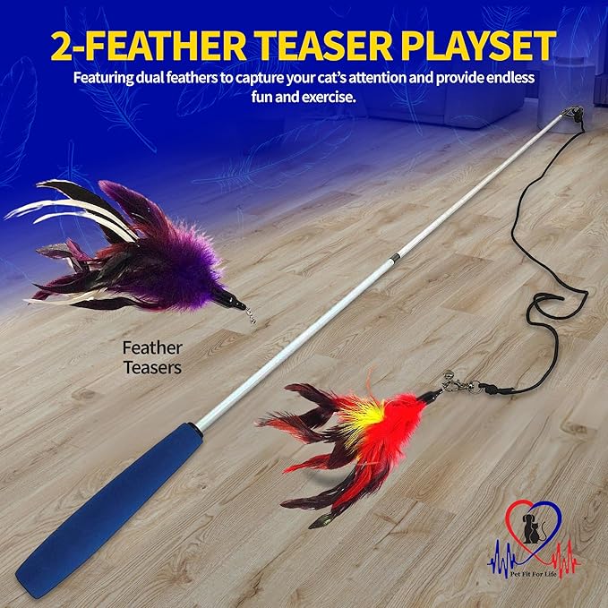 PET FIT for Life 2 Feather Wand CAT Toy, RED and Purple