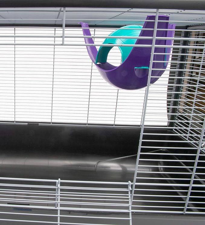 Lixit Igloos and Hideaways for Guinea Pigs, Rats, Mice, Hamsters, Gerbils and Other Small Animals (Assorted, Large Space Pod)