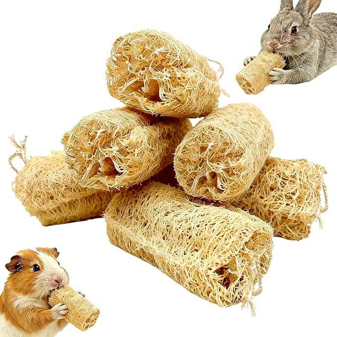 6 PCS Rabbit Chew Toys Natural Loofah Guinea Pig Treats Bunny Stuff Cage Accessories for Chinchillas Guinea Pig (6PCS)