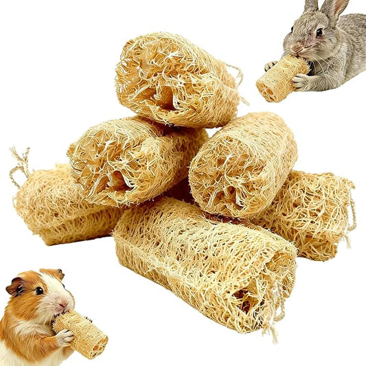6 PCS Rabbit Chew Toys Natural Loofah Guinea Pig Treats Bunny Stuff Cage Accessories for Chinchillas Guinea Pig (6PCS)