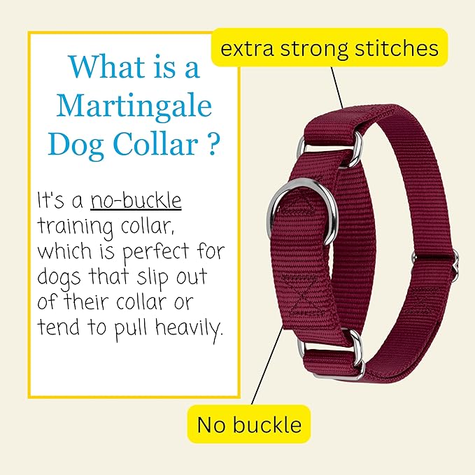 Country Brook Petz - Martingale Dog Collar - Heavy-Duty Training Collar with No Buckle - Service Dog Collar for All Pups - 20 Vibrant Colors (Burgundy, 1 Inch, Extra Large)