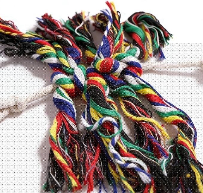 Durable Bird Toys for Large Parrots – Parrot Toys for Macaws & African Greys – Natural Wood, Squeaky, Chew & Climbing Toys for Large Birds, Safe & Eco-Friendly