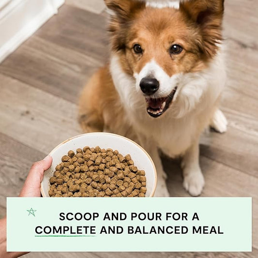 Open Farm, Grain-Free Dry Dog Food, Complete & Balanced Kibble, Sustainably & Ethically Sourced Ingredients, Non-GMO Veggies & Superfoods, Catch-of-The-Season Whitefish Recipe, 11lb Bag