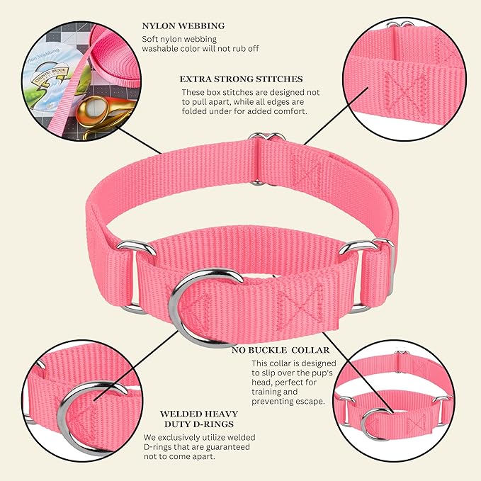 Country Brook Petz - Martingale Dog Collar - Heavy-Duty Training Collar with No Buckle - Service Dog Collar for All Pups - 20 Vibrant Colors (Pink, 1 Inch, Medium)