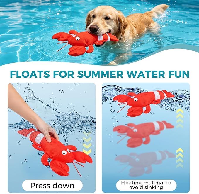BINGPET Floating Dog Toys, 2 Pack Durable Squeaky Lobster & Squid Water Toy for Pool Beach Outdoor Interactive Fetch, Oxford Fabric Summer Swimming Pool Toys for Small Medium Large Dogs