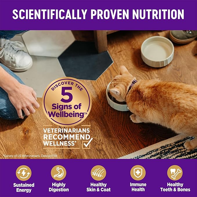Wellness Complete Health Adult Dry Cat Food, Natural, Grain Free Kibble, Chicken Recipe, 5.5 lb Bag