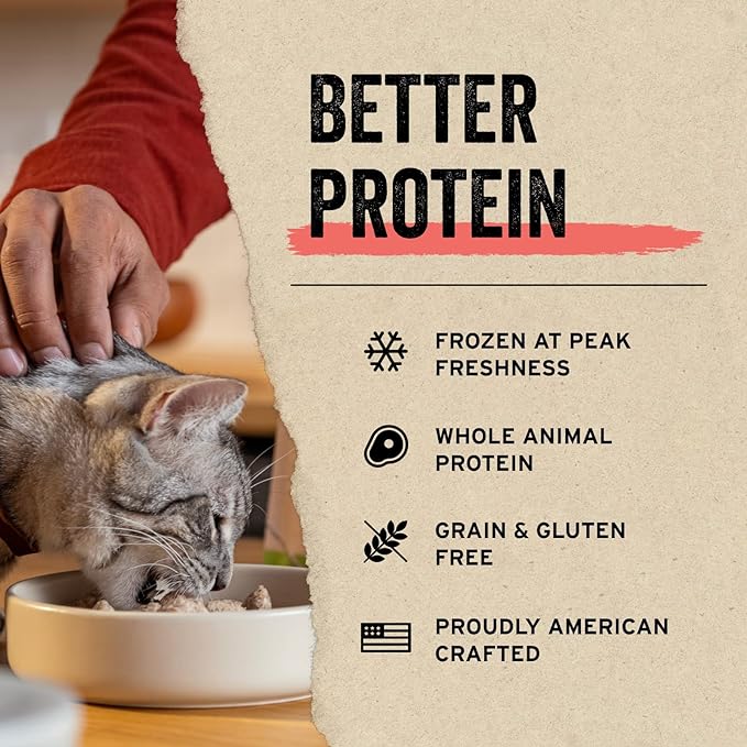 Vital Essentials Freeze Dried Raw Single Ingredient Cat Treats, Minnows, 1 oz (Pack of 3)