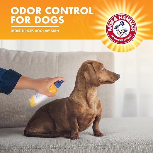 Arm & Hammer for Pets Super Deodorizing Dog Spray with Baking Soda for Odor Control Freshens Coat Between Baths pH Balanced Formula for Dogs Kiwi Blossom 8 FL OZ 2 Pack Dogs and Puppies Daily