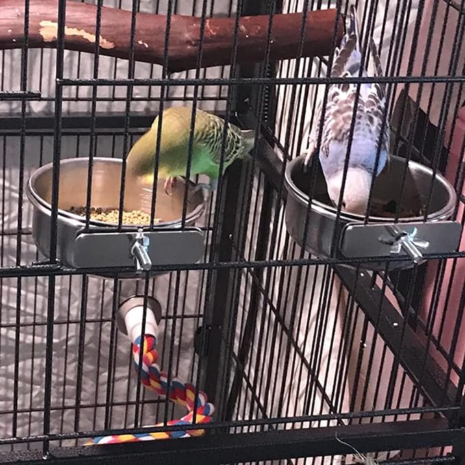 kathson Stainless Steel Bowls for Birds,4 Pcs Parrot Feeder Dish Cups,Bird Cage Water Food Bowl Coop Cup with Clamp Holder for Parrots Cockatiel Budgies Parakeet Lovebird(M)