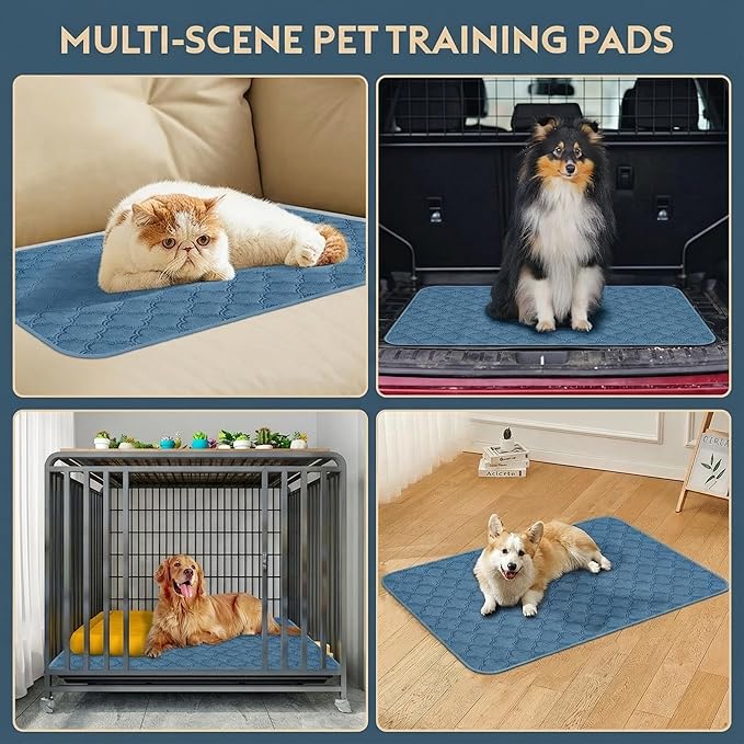 FunFurry Washable Pee Pads for Dogs - 2 Pack Reusable Pee Pads，Waterproof Puppy Pads，Pet Training Pads，Super Absorbent with Dog Paw Shape Non-Slip Backing (Blue, 24" X 36" - 2 Pack)