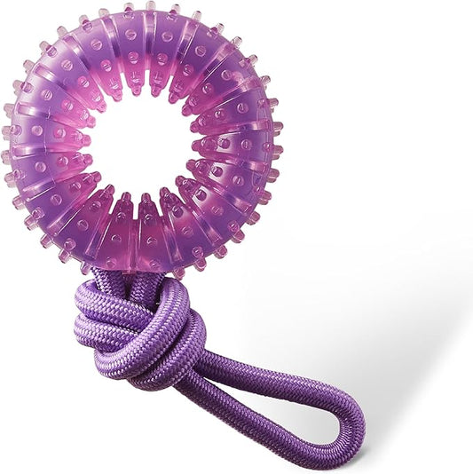 Dental Chew Wheel Dog Toy, Ring & Rope Tug, Multi-Textured, Soft on Teeth, Moderate Chewers, Mint Scented, 9"