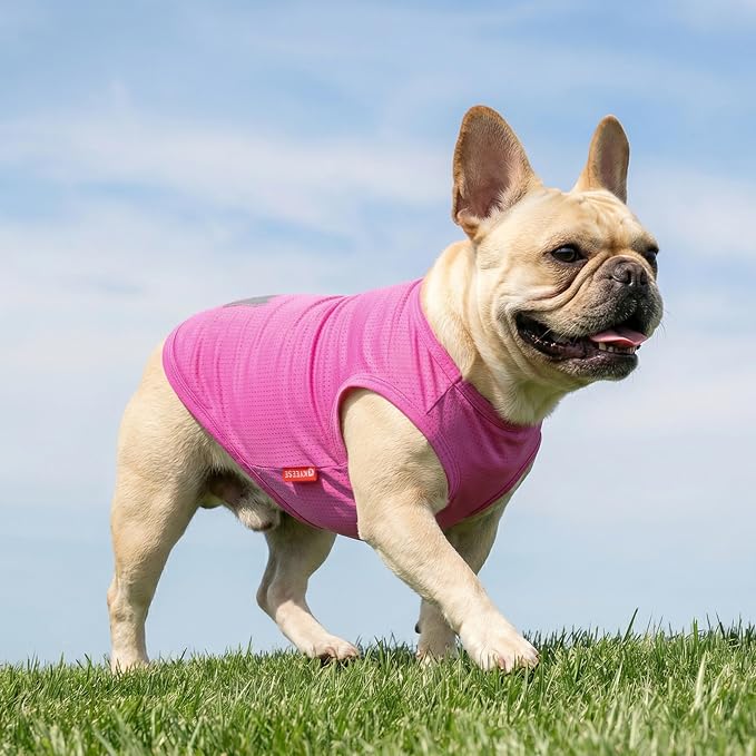 KYEESE 2Pack Dog Shirt, Lightweight Sun Protection Dog T Shirts for Small Dogs Girl, Breathable Mesh Tank Top Sleeveless Pet Reflective Vest, Soft Summer Dogs Clothes, Ice Pop+Pink, L