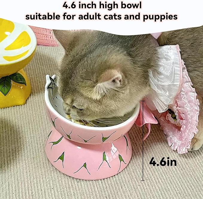 Hamiledyi Ceramic Raised Cat Bowl 2PCS Anti Vomiting Elevated Tilted Cat Food & Water Bowls Pet Feeder Dish for Indoor Kitty and Small Dogs (Watermelon & Lemon)