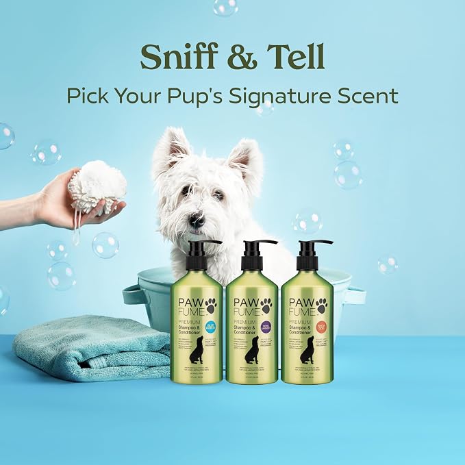PAWFUME Dog Shampoo and Conditioner, Blue Ribbon, 4-Pack – Nourish & Detangle for a Silky Soft Coat – Probiotic, Deep-Cleaning, pH-Balanced Formula – Puppy Shampoo and Conditioner for All Breeds