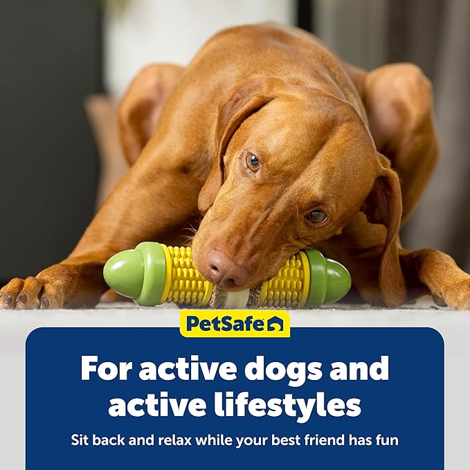 PetSafe Busy Buddy Cravin Corncob Dog Toys Treat Ring Holding Chew Toy BPA Free Rubber Butter Scented Interactive Pet Puzzle for Boredom or Separation Anxiety Small to Large Dogs