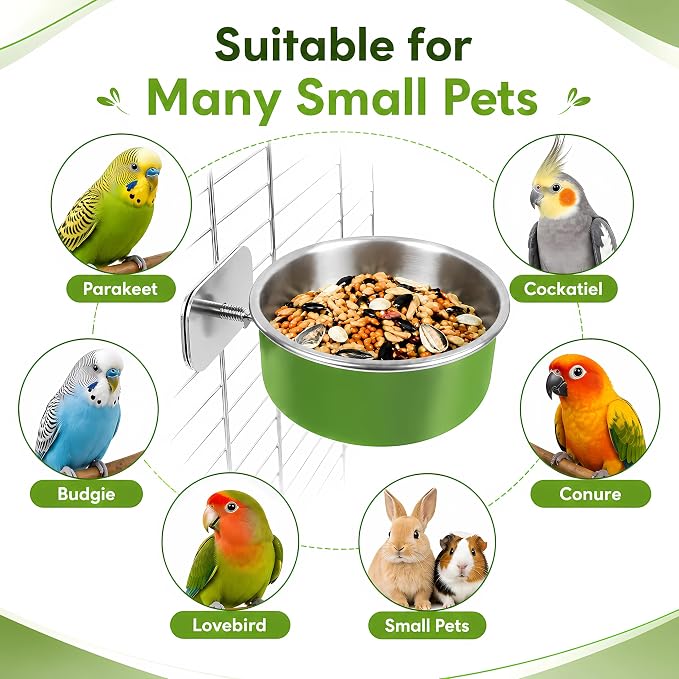Stainless Steel Bird Bowls for Cage (8 Pack)– Green Hanging Bird Food & Water Feeder Cups with Clamp Holder, Anti-Spill Bird Cage Feeders for Parakeets, Cockatiels, Conures, Budgies & Small Animals