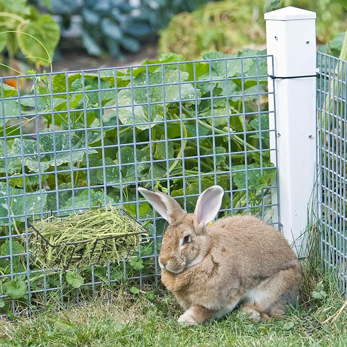4 Pcs Rabbit Hay Feeder, Heavy Duty Metal Rabbit Hay Rack with Hooks Small Animal Cage Accessories Bunny Hay Feeder Holder Pet Grass Rack for Guinea Pig Chinchillas
