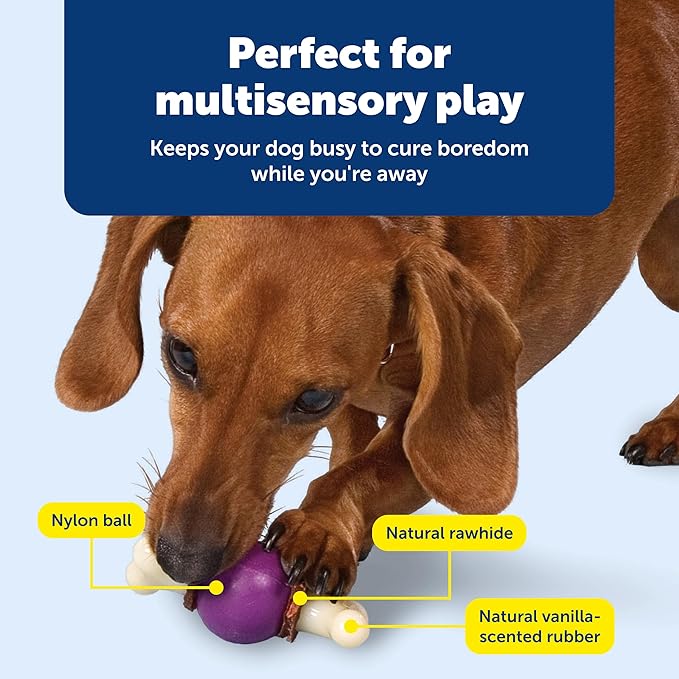 PetSafe Busy Buddy Bouncy Bone, Treat Holding Dog Toy, Small, Best for Dogs Up to 10 Lb.