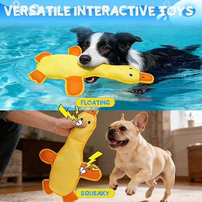 EXPAWLORER Squeaky Floating Dog Toys for Water Fetch, Stuffed Duck Dog Pool Toys with Squeakers, Soft Mesh Interactive Outdoor Summer Essentials for Small Medium Large Dogs, 2 Pack