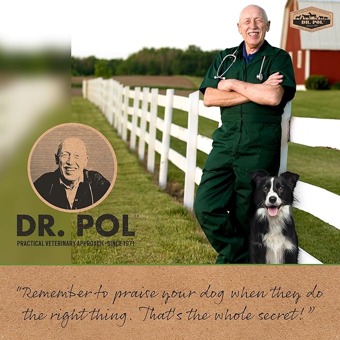 Dr. Pol Puppy Training Pads - X-Large Scented Pee Pads for Dogs with Ultra Absorbent Quick Dry Gel, 28 x 30, 100 Count