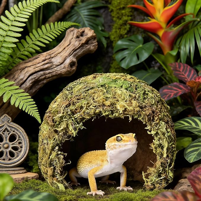 Snake Hide & Reptile Cave - Bearded Dragon Accessories & Leopard Gecko Tank Accessories - Coconut Moss Terrarium Decor & Reptile Supplies for Amphibian Habitats