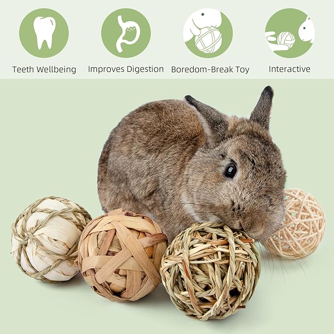 andwe Small Animals Play Balls Rolling Chew Toys & Gnawing Treats for Rabbits Guinea Pigs Chinchilla Bunny Degus - Pet Cage Entertainment Accessories (Pack of 9)