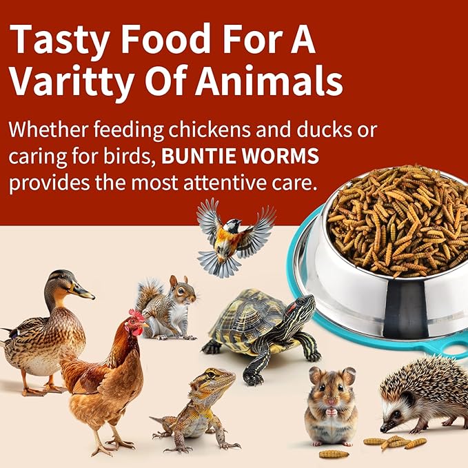 BUNTIE WORMS Dried Black Soldier Fly Larvae 10LB, 100% Natural Non-GMO, No Additives, Treat for Chickens, Reptiles and Birds, More Calcium Than Mealworms