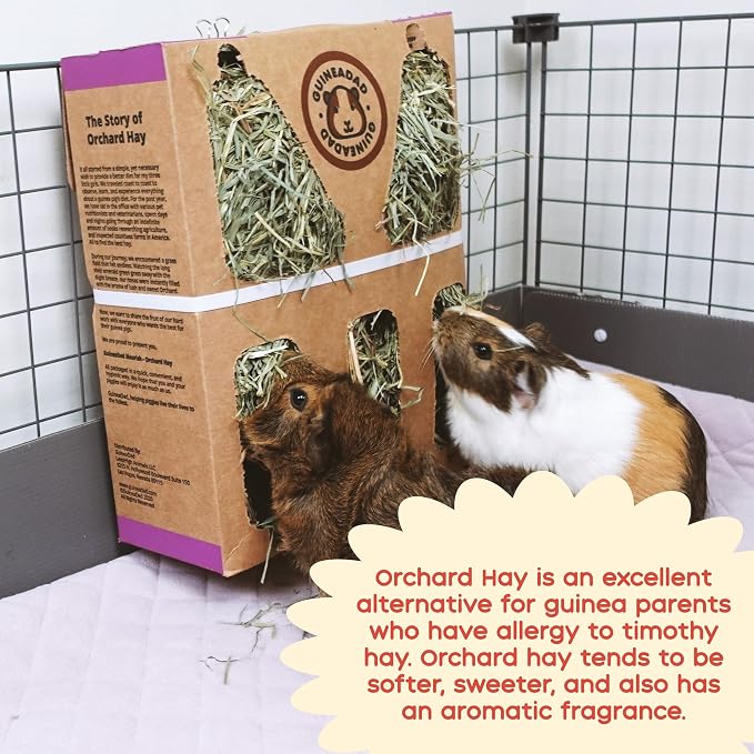 GuineaDad Orchard Hay Box – 3 Pack Guinea Pig Food – Cage-Mounted Feeding System – Orchard Hay for Guinea Pigs, Rabbits & Small Animals – 100% Recyclable & Biodegradable