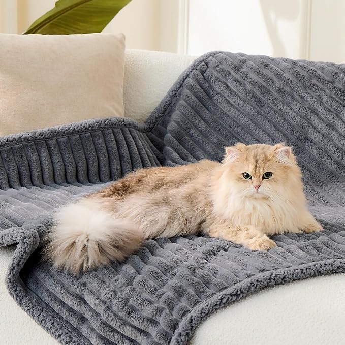 Qeils Waterproof Calming Cat Blanket for Indoor Cats, Noiseless Soft Plush Dog Blanket for Pets, 500GSM Thick Faux Fur Pet Throw, Couch Furniture Protector for Puppy, Charcoal Grey, 25x30IN