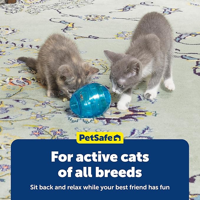 PetSafe FUNKitty Egg Cersizer - Cat Slow Feeder - Interactive Cat Meal Dispensing Toy - Great for Portion Control and Fast Eaters - Improve Digestion - Cat Enrichment and Exercise Toy