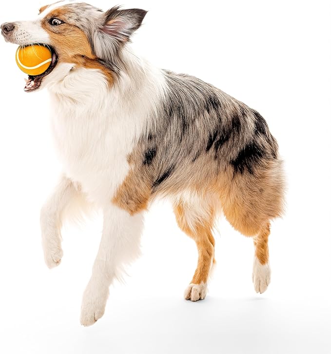 Playology Dog Toys | Squeaky Chew Ball for Large Dogs | Cheddar Cheese Scented Jumbo Dog Ball | Bouncy Floating Chew Toys for Fetch